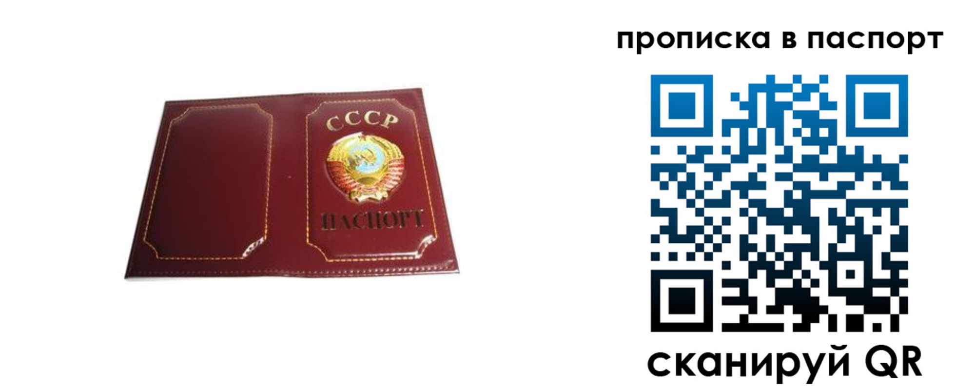 прописка для школы в Перми